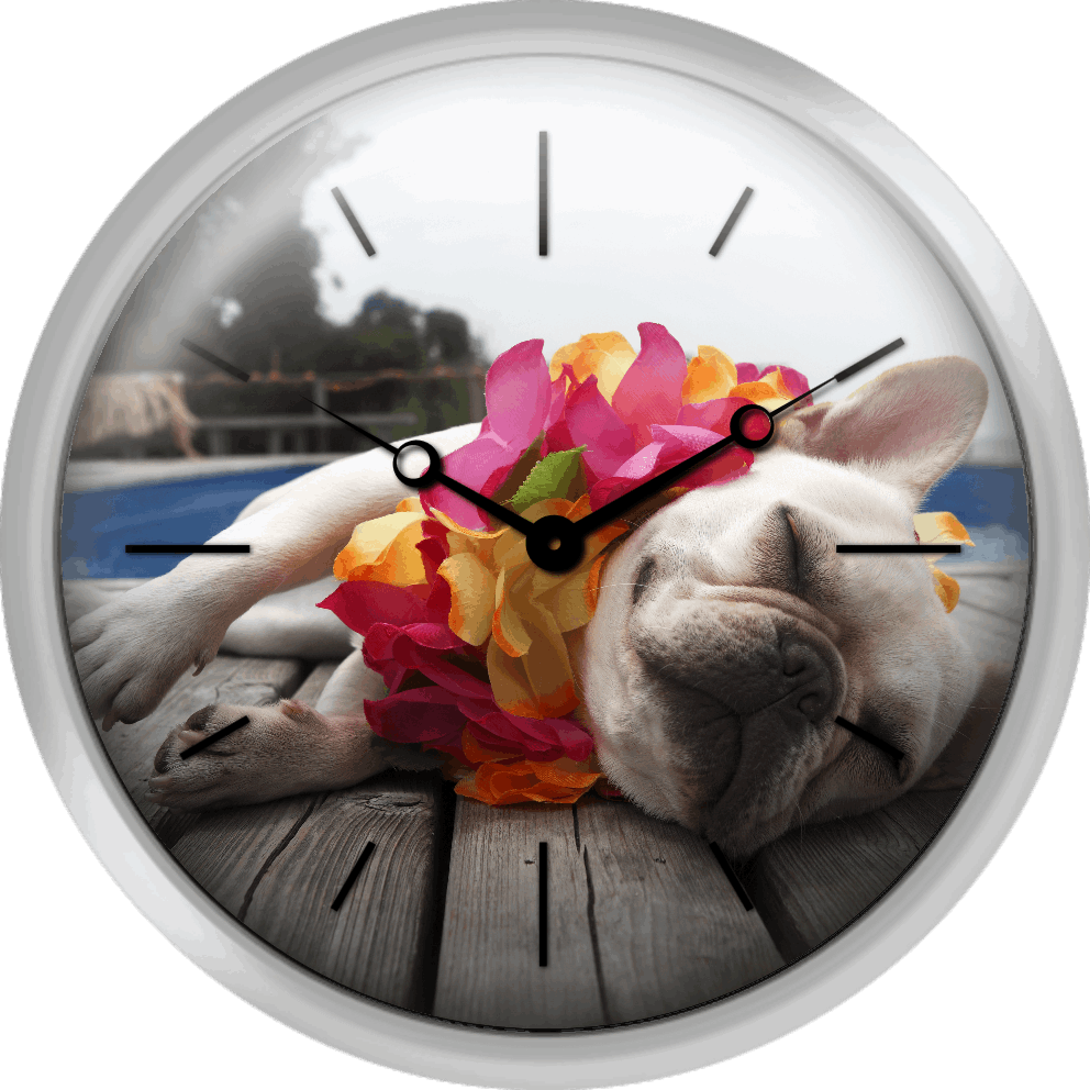 Xpress Clocks Gallery Beach Ball In Swimming Pool