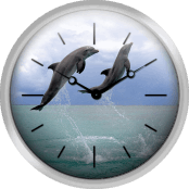 Delfin Grosser Tuemmler
