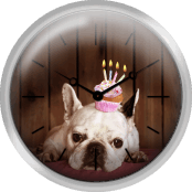French Bulldog With Birthday Cupcake