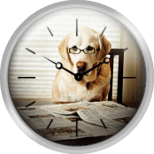 Dog Reading The Newspaper And Wearing Glasses
