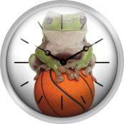 Whites Tree Frog On Small Basketball