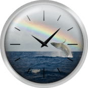 Humpback Whale Rainbow Breach