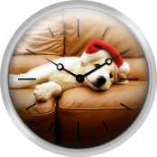Puppy Wears A Christmas Hat Lounges On Sofa