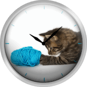 A Young Tabby Kitten Playing With Wool