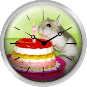 Dwarf Hamster With Birthday Cake