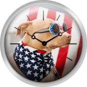 Dog Dressed In American Flag Neckerchief And Sunglasses