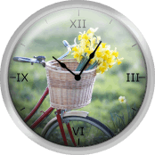 Freshly Picked Daffodils in a Bicycle Basket